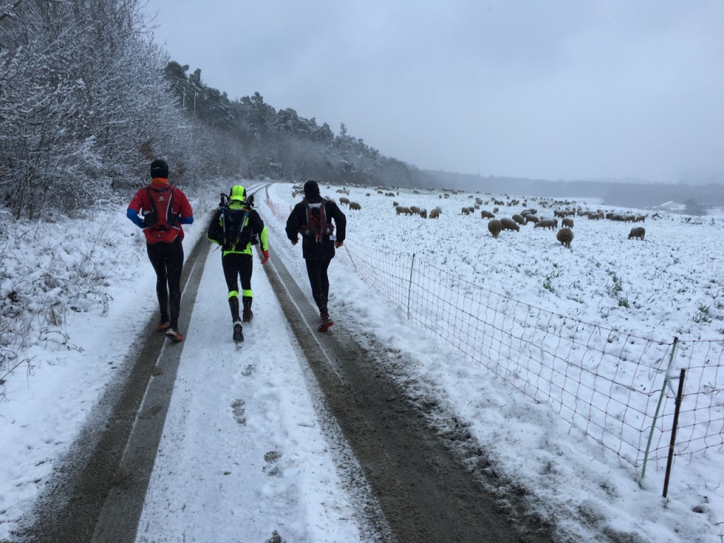 Taunus Ultratrail - 31 von 39